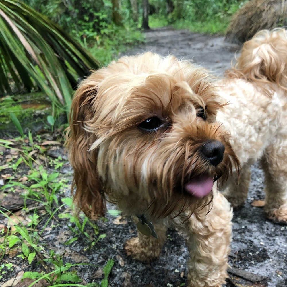 Meet your Posher, Susan